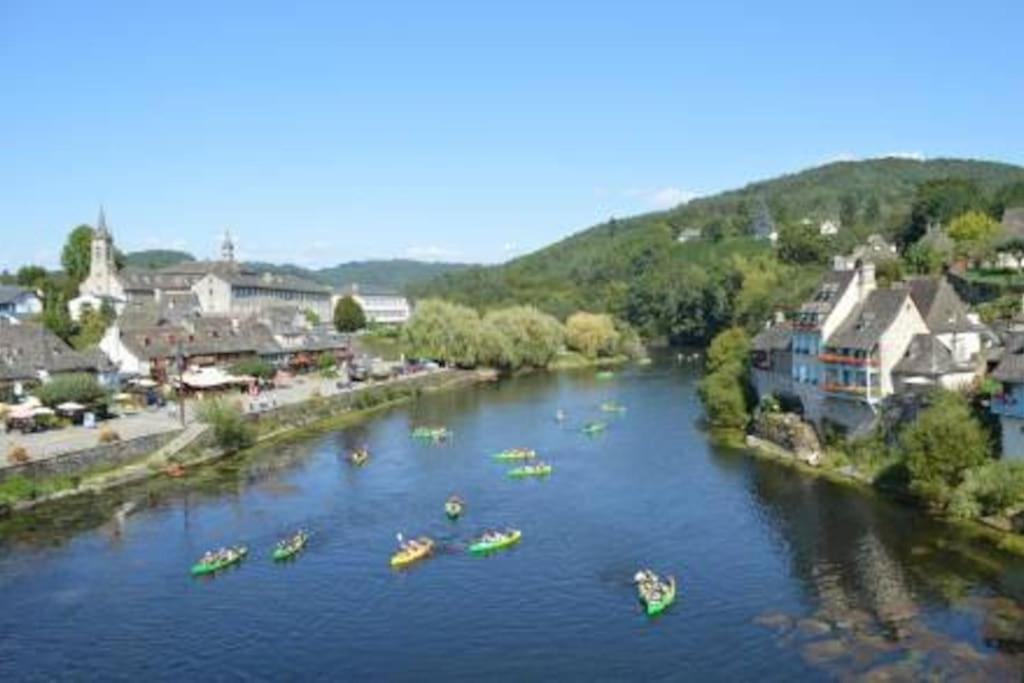 Maison En Pierre Sur Les Quais De La Dordogne 아르장타트 외부 사진